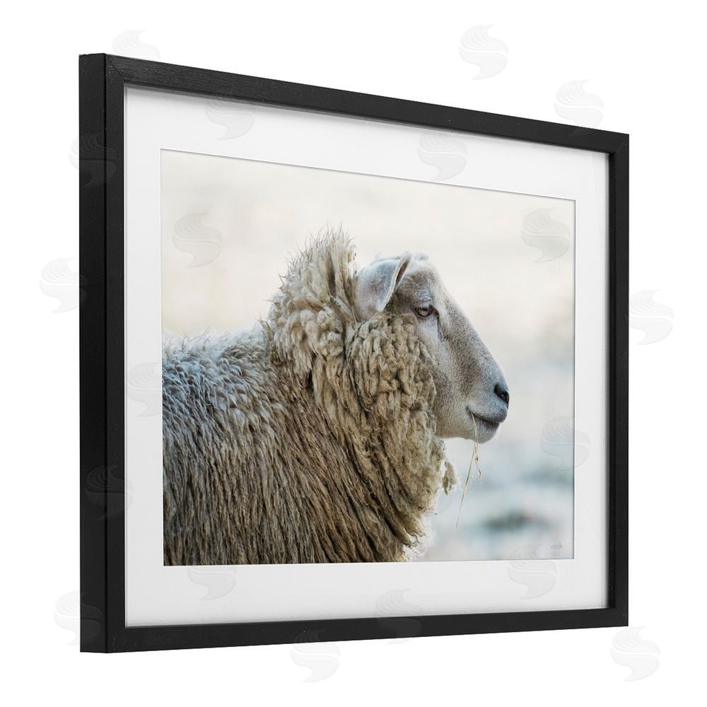 Martin Podt Deep Thoughts Sheep Portrait Black Framed Print Under Glass with White Mat Wall Art