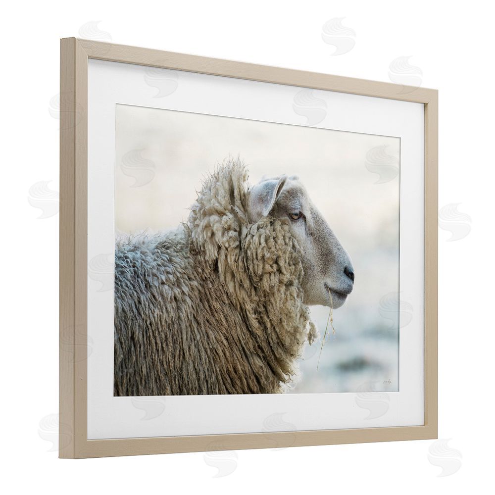 Martin Podt Deep Thoughts Sheep Portrait Birch Framed Print Under Glass with White Mat Wall Art
