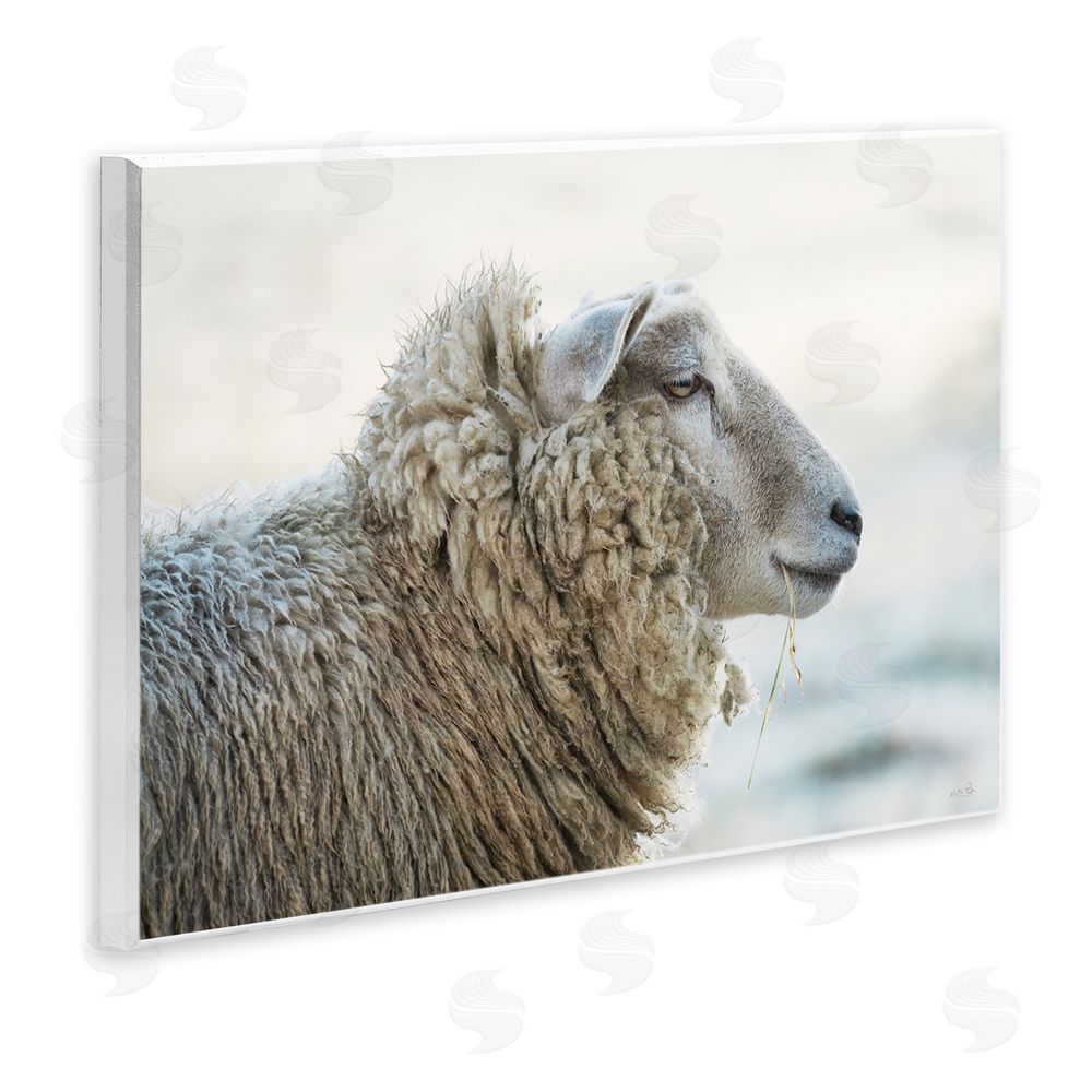 Martin Podt Deep Thoughts Sheep Portrait Wall Plaque Art Print