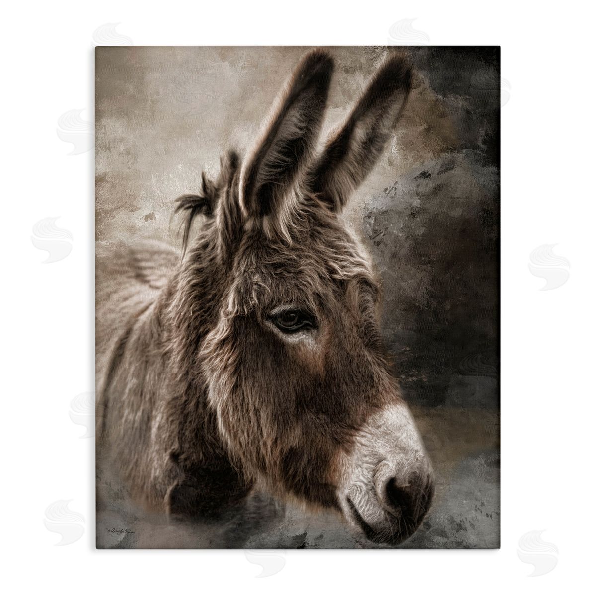 Robin-Lee Viera All Ears Donkey Canvas Wall Art Print