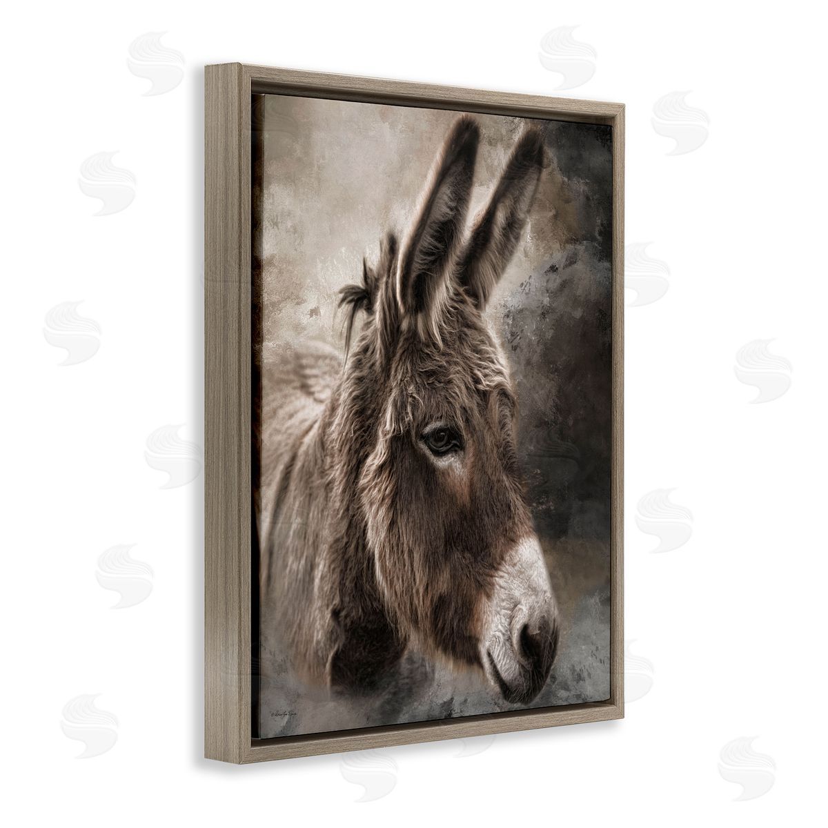 Robin-Lee Viera All Ears Donkey Brown Floating Frame Canvas Wall Art Print