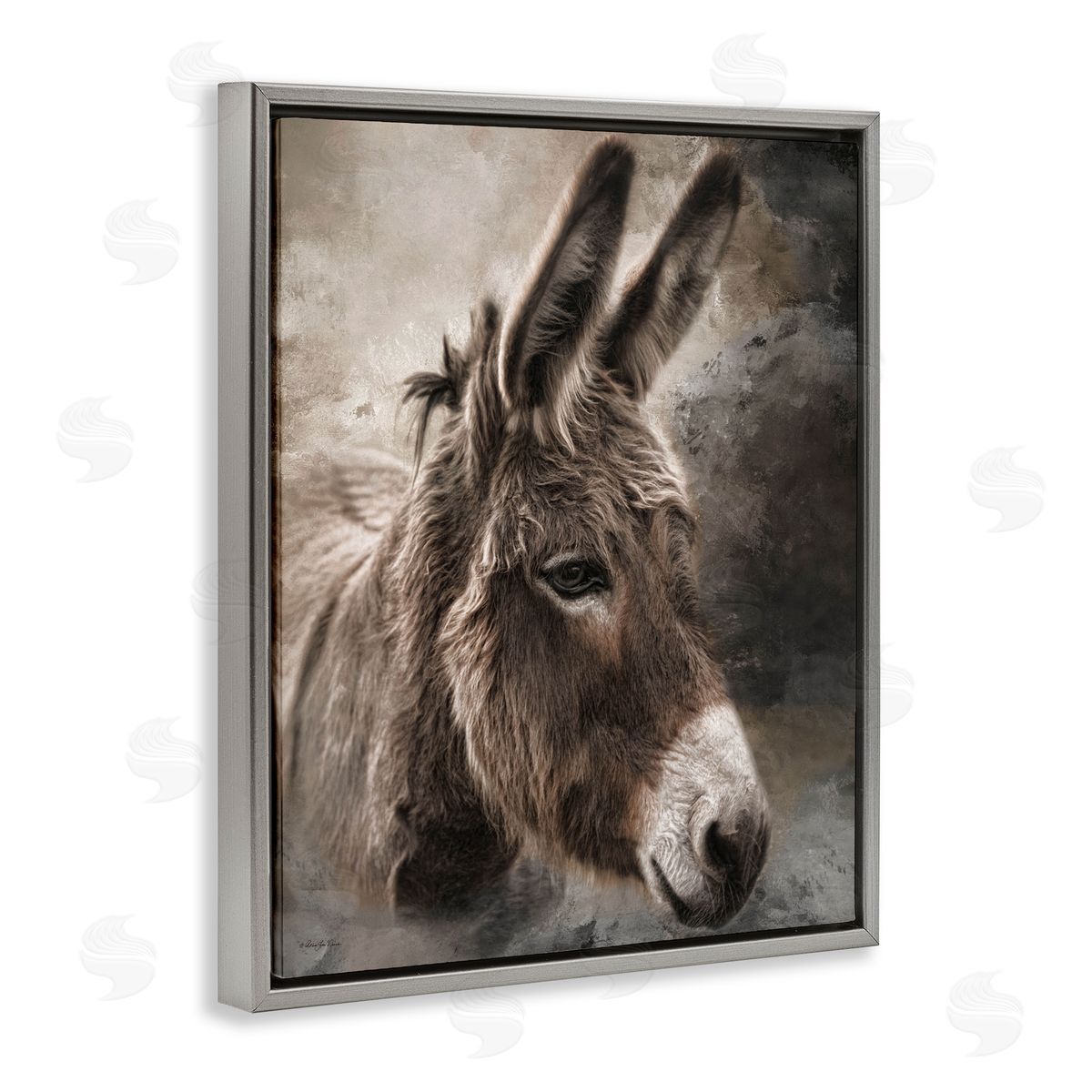 Robin-Lee Viera All Ears Donkey Gray Floating Frame Canvas Wall Art Print