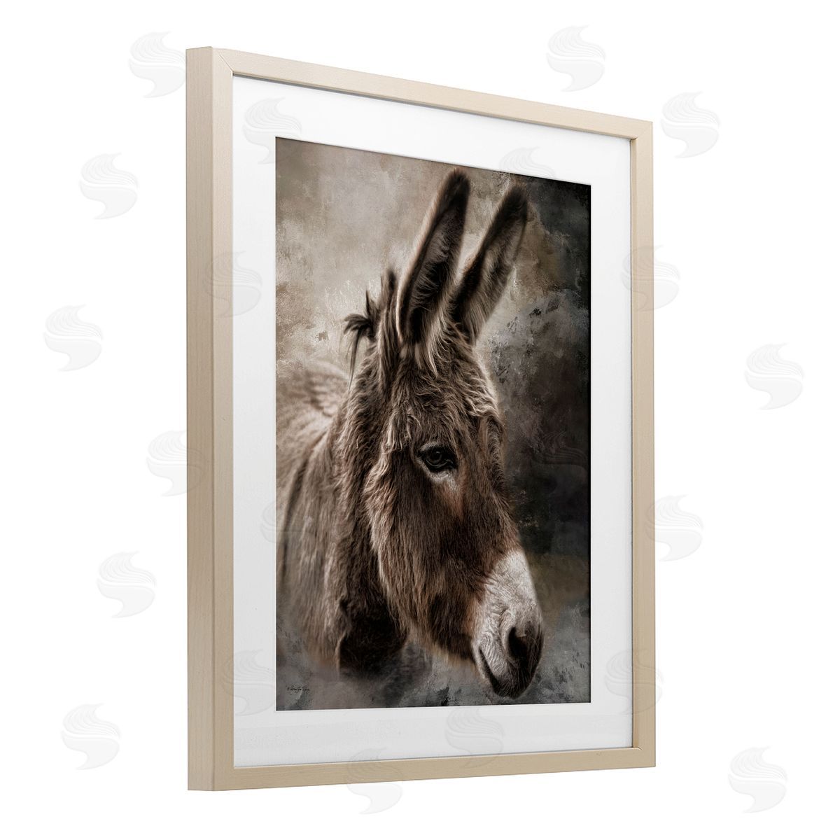 Robin-Lee Viera All Ears Donkey Birch Framed Print Under Glass with White Mat Wall Art