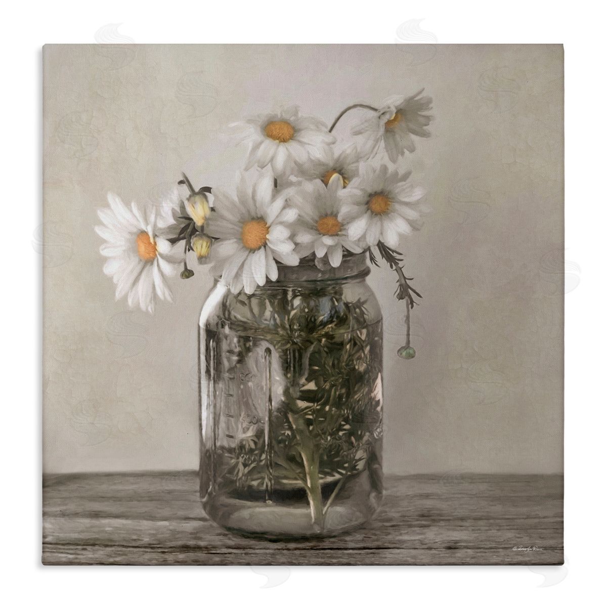 Robin-Lee Viera Joy In A Jar Daisies Canvas Wall Art Print