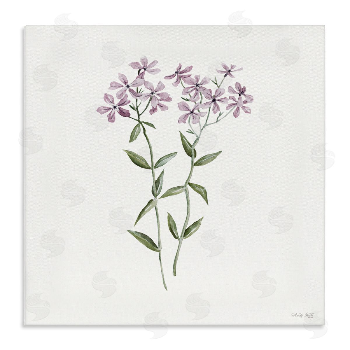 Cindy Jacobs Purple Phlox Botanical Canvas Wall Art Print