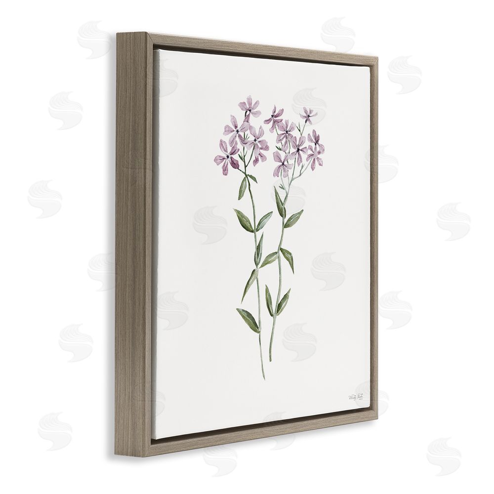 Cindy Jacobs Purple Phlox Botanical Brown Floating Frame Canvas Wall Art Print