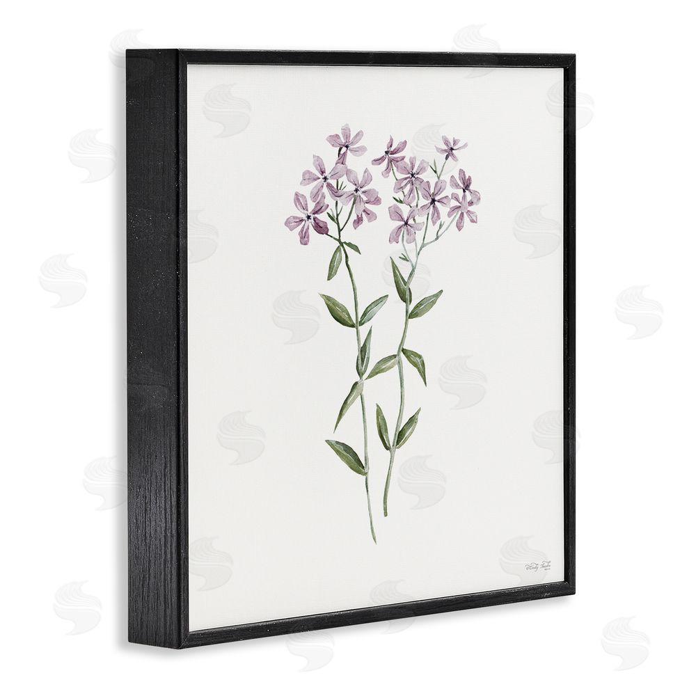 Cindy Jacobs Purple Phlox Botanical Black Framed Giclee Wall Art Print