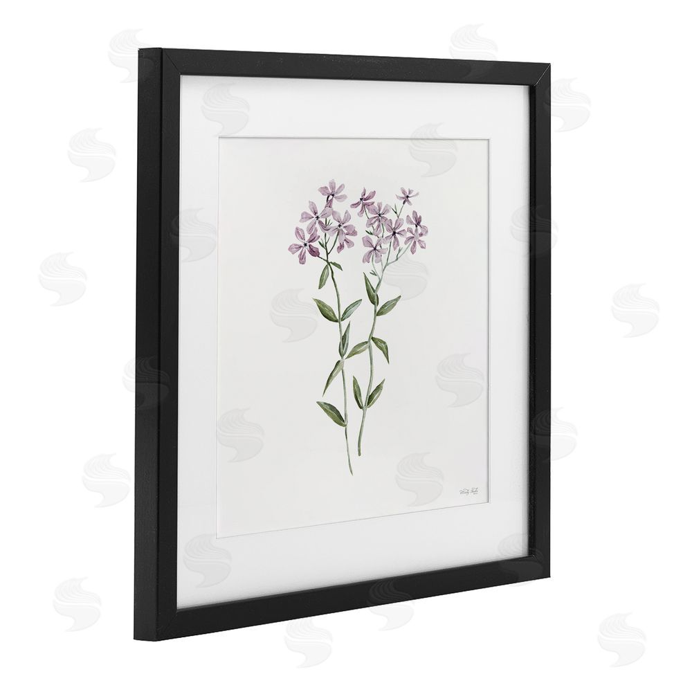 Cindy Jacobs Purple Phlox Botanical Black Framed Print Under Glass with White Mat Wall Art