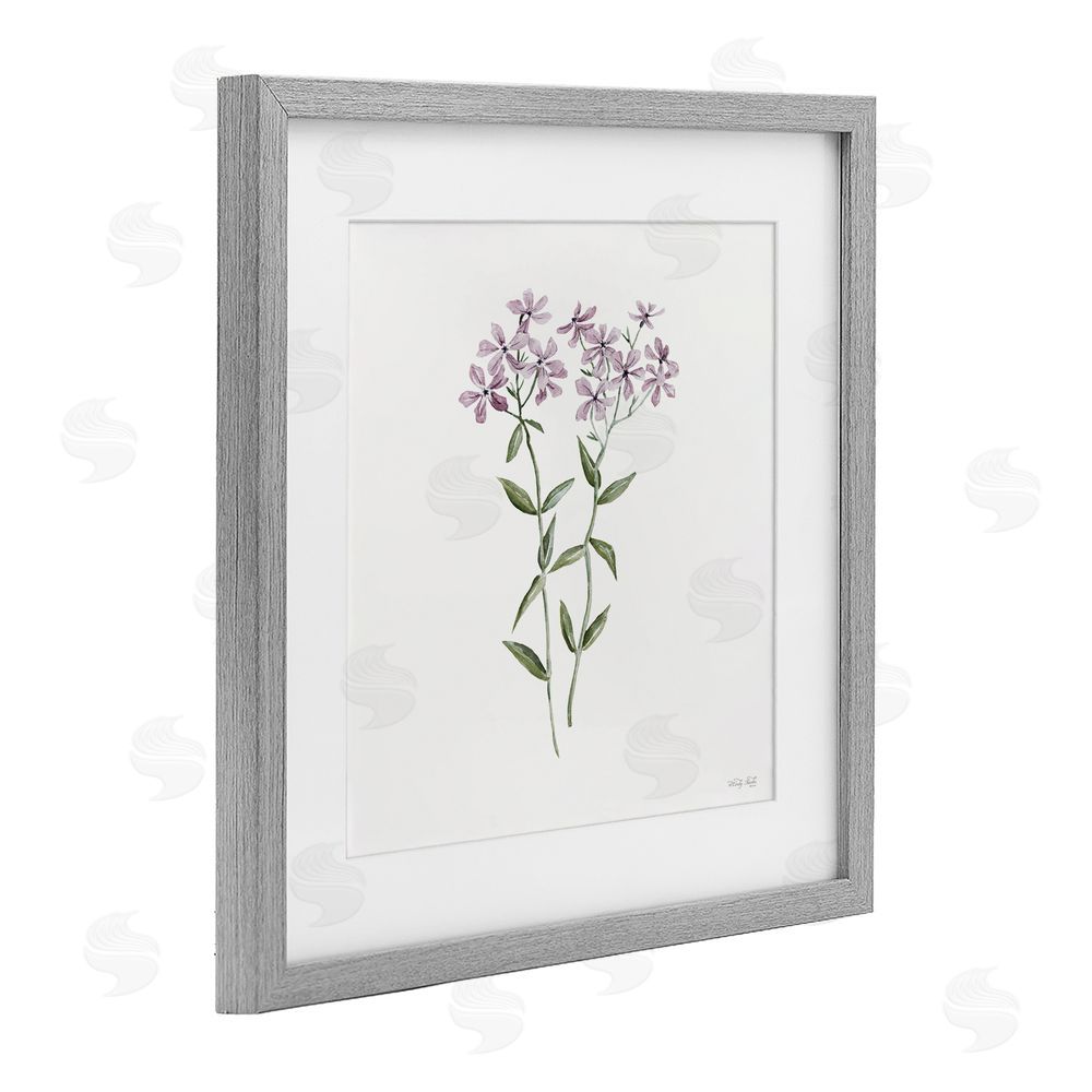Cindy Jacobs Purple Phlox Botanical Gray Framed Print Under Glass with White Mat Wall Art