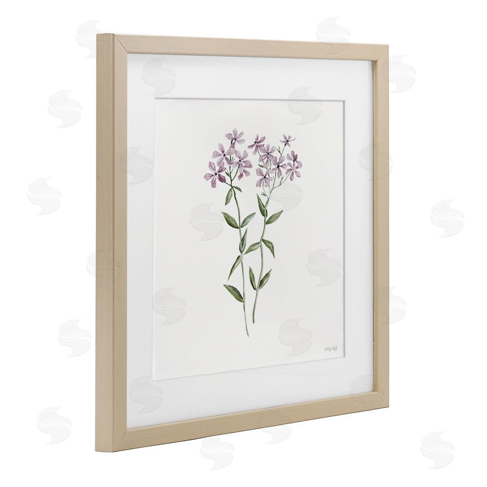 Cindy Jacobs Purple Phlox Botanical Birch Framed Print Under Glass with White Mat Wall Art