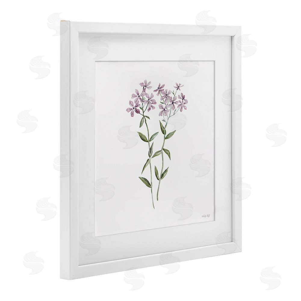 Cindy Jacobs Purple Phlox Botanical White Framed Print Under Glass with Mat Wall Art