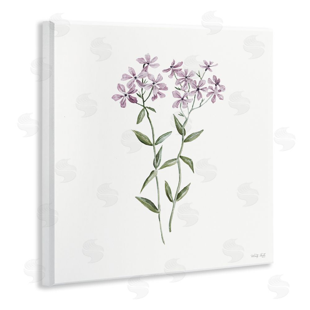 Cindy Jacobs Purple Phlox Botanical Wall Plaque Art Print