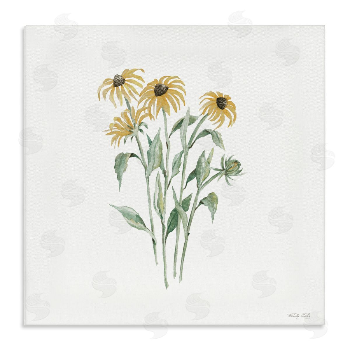Cindy Jacobs Black-Eyed Susan Botanical Canvas Wall Art Print