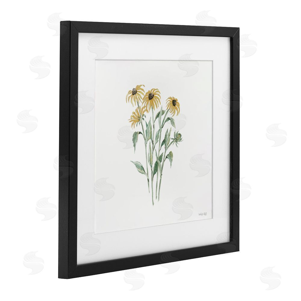 Cindy Jacobs Black-Eyed Susan Botanical Black Framed Print Under Glass with White Mat Wall Art