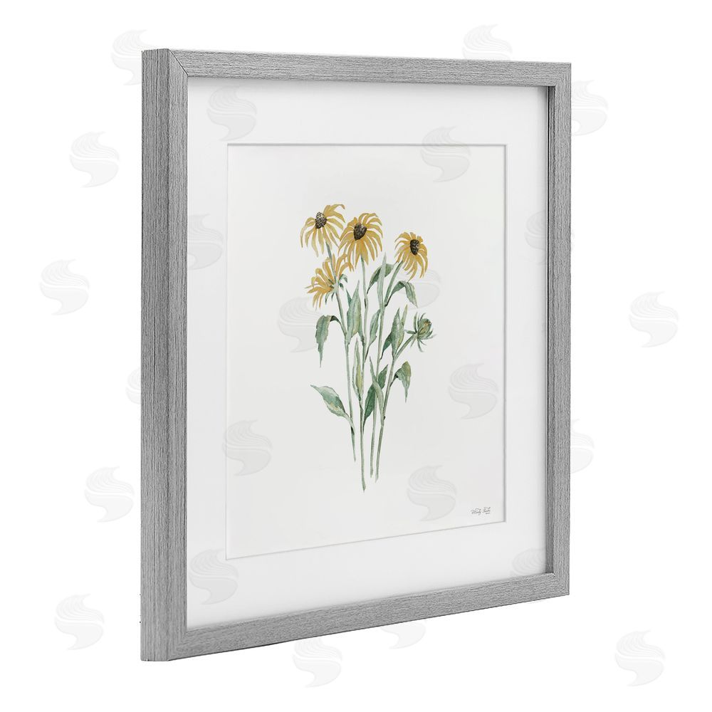 Cindy Jacobs Black-Eyed Susan Botanical Gray Framed Print Under Glass with White Mat Wall Art