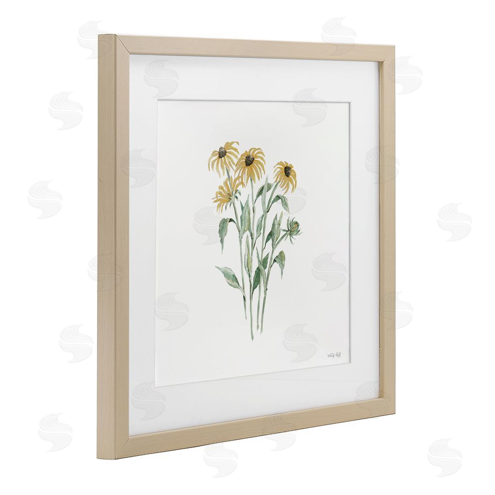Cindy Jacobs Black-Eyed Susan Botanical Birch Framed Print Under Glass with White Mat Wall Art