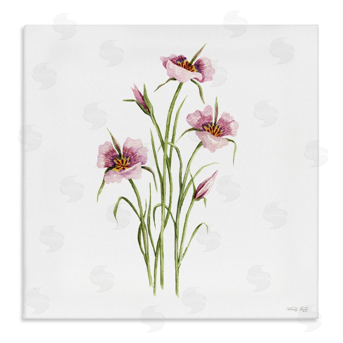 Cindy Jacobs Fuchsia Mariposa Botanical Canvas Wall Art Print