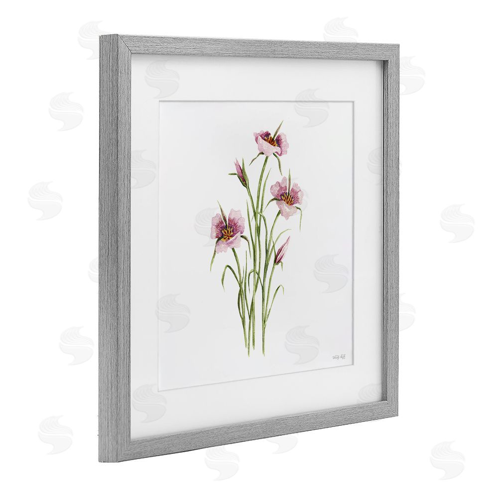 Cindy Jacobs Fuchsia Mariposa Botanical Gray Framed Print Under Glass with White Mat Wall Art