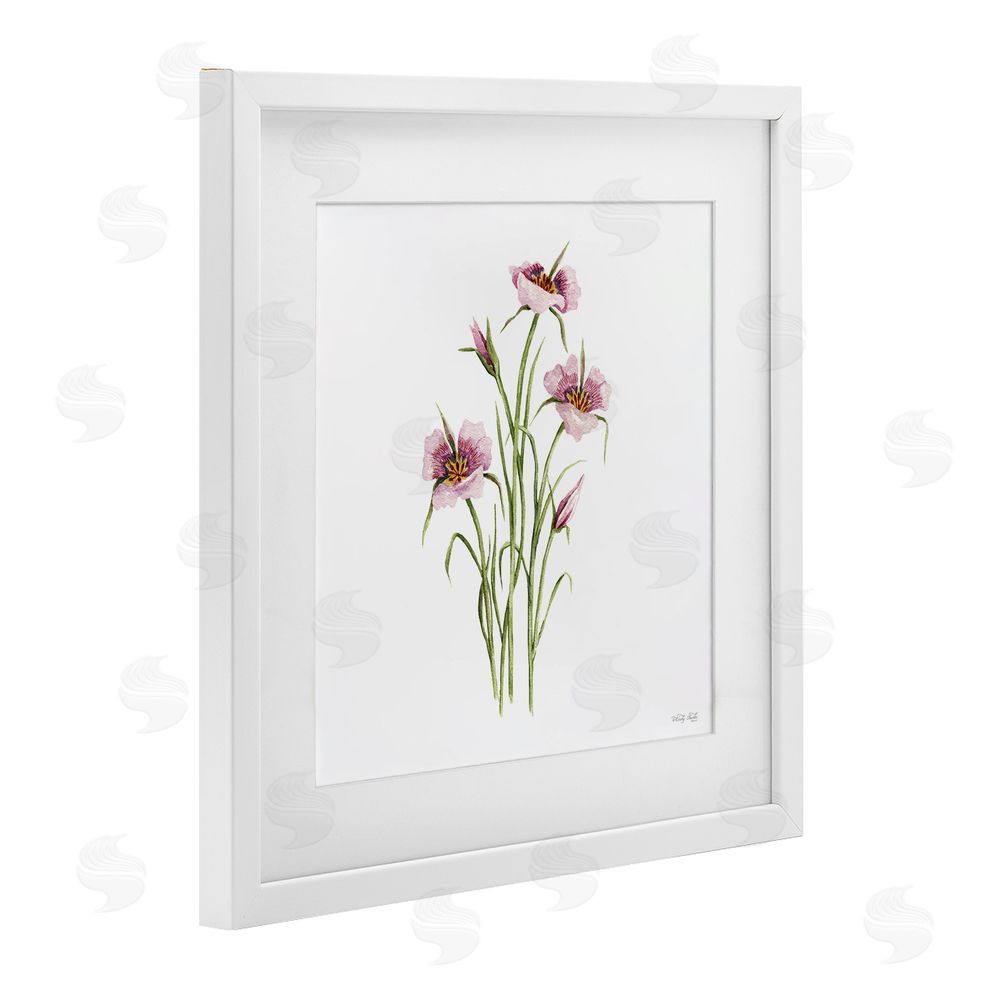 Cindy Jacobs Fuchsia Mariposa Botanical White Framed Print Under Glass with Mat Wall Art