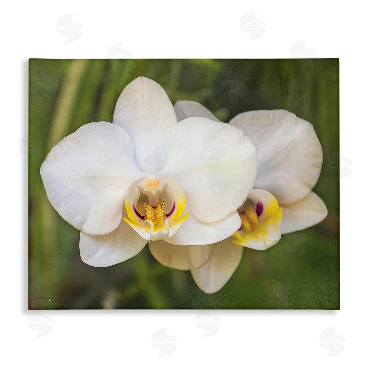 Seven Trees Design Orchid Blossom Glow Canvas Wall Art Print