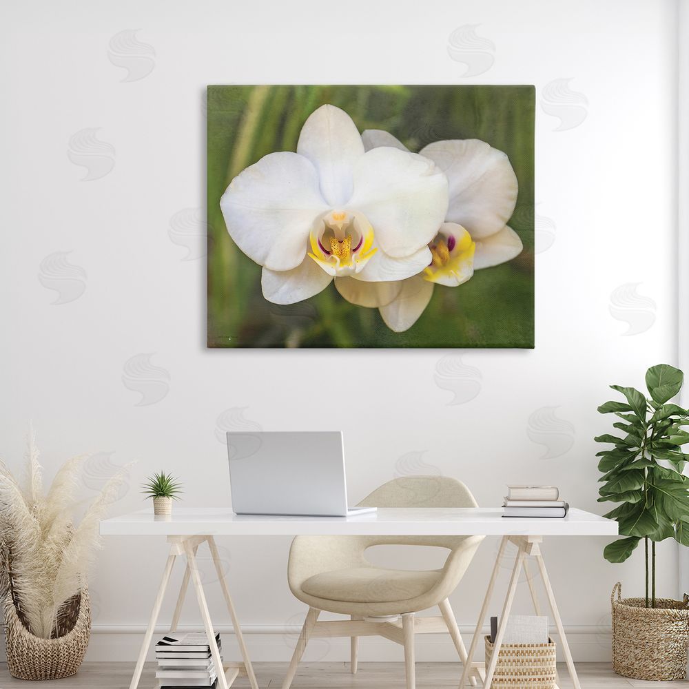 Seven Trees Design Orchid Blossom Glow Canvas Art on Wall