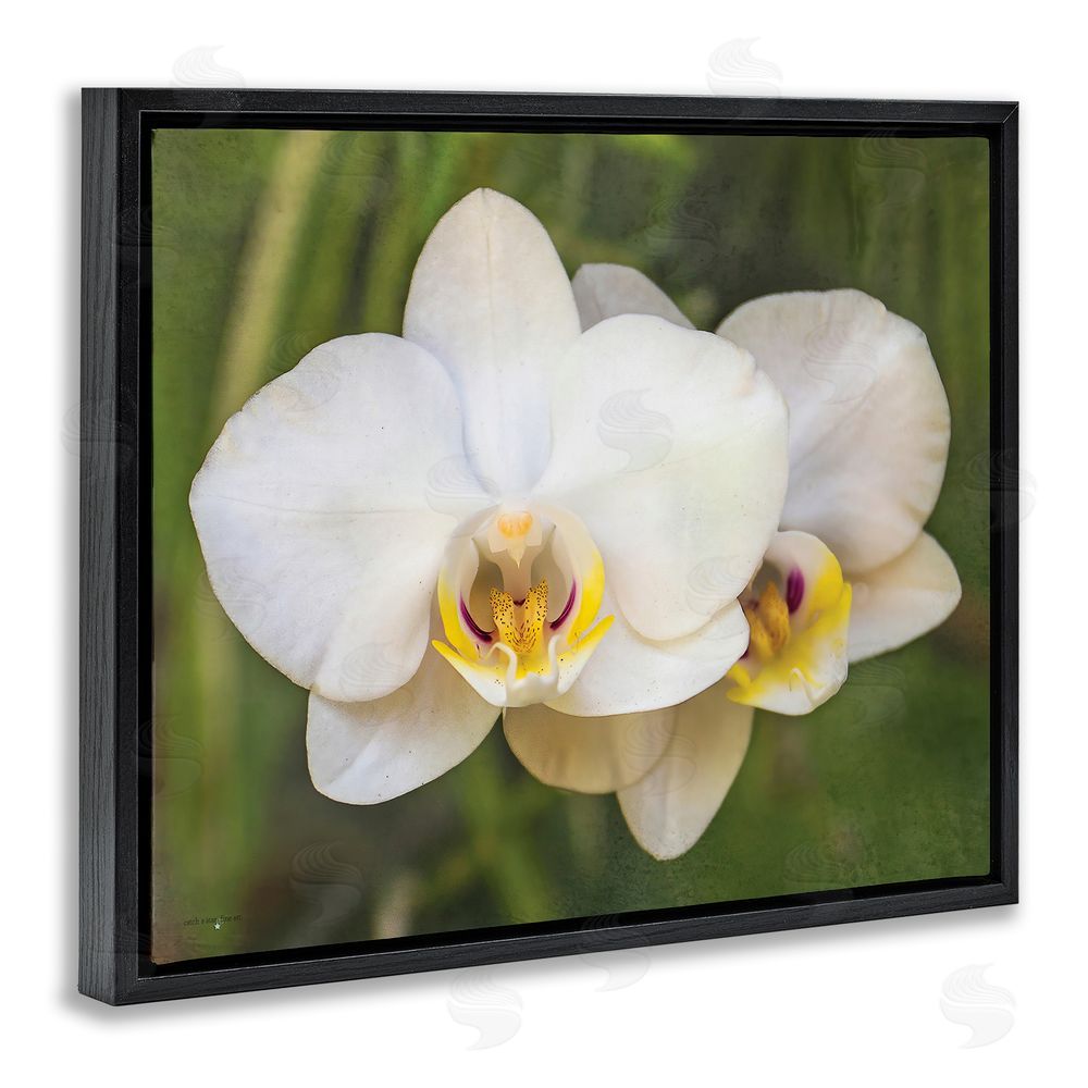 Seven Trees Design Orchid Blossom Glow Black Floating Frame Canvas Wall Art Print
