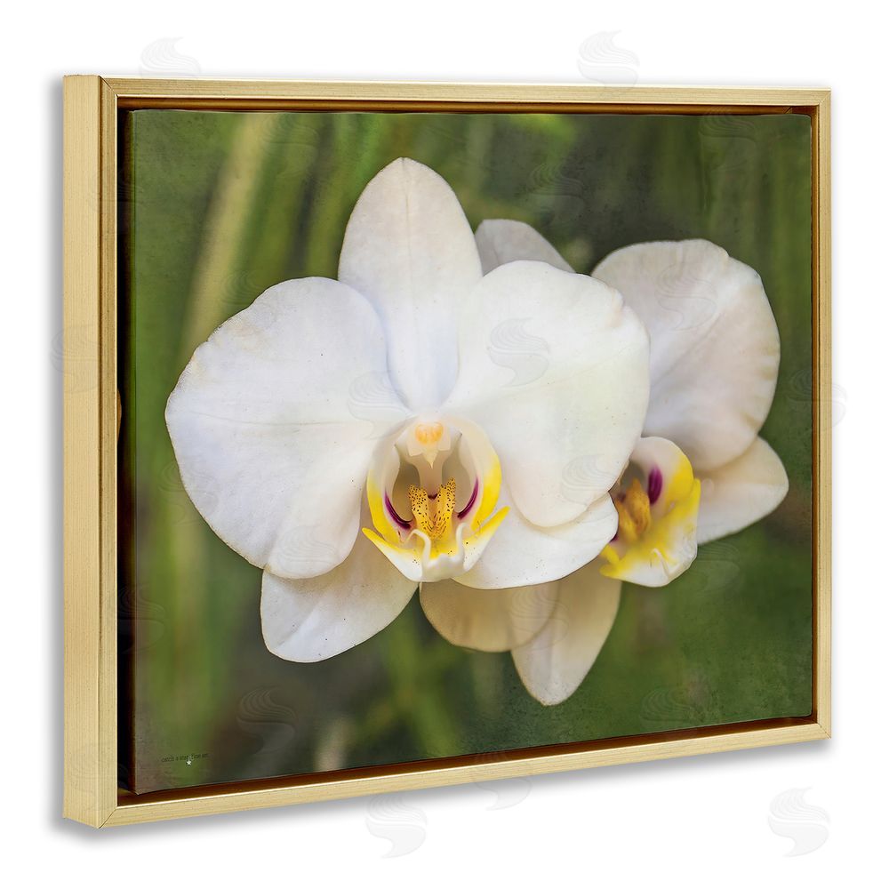Seven Trees Design Orchid Blossom Glow Gold Floating Frame Canvas Wall Art Print