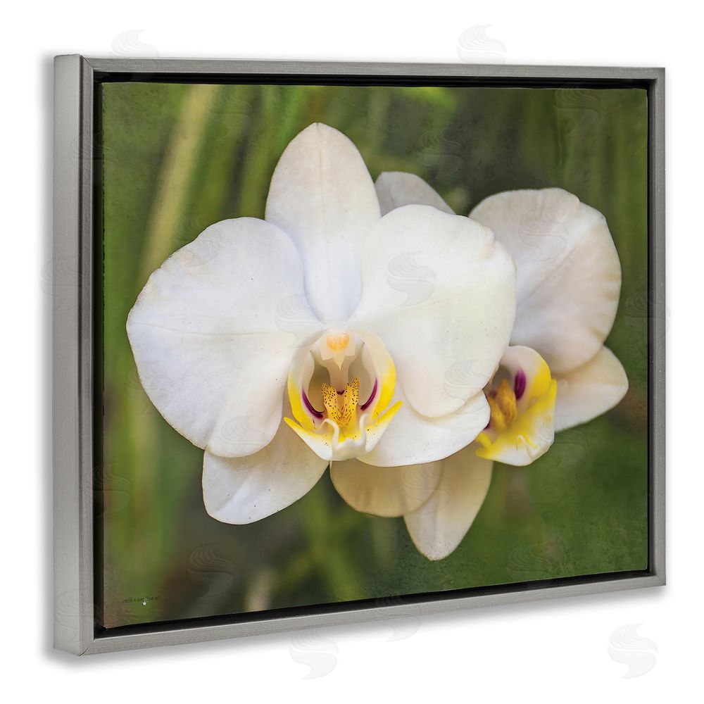 Seven Trees Design Orchid Blossom Glow Gray Floating Frame Canvas Wall Art Print