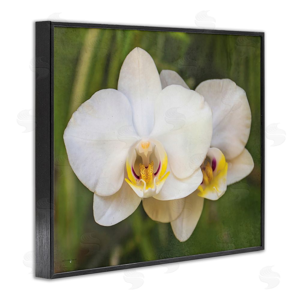 Seven Trees Design Orchid Blossom Glow Black Framed Giclee Wall Art Print