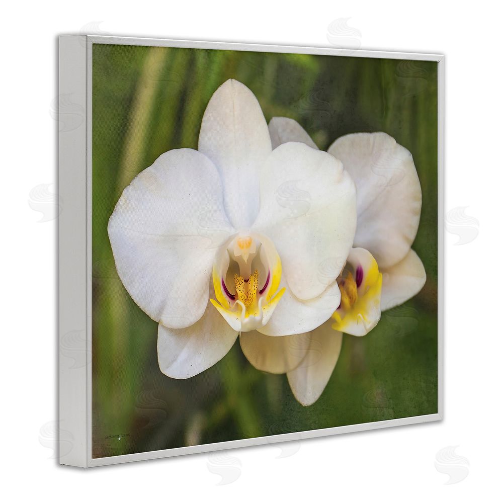 Seven Trees Design Orchid Blossom Glow White Framed Giclee Wall Art Print