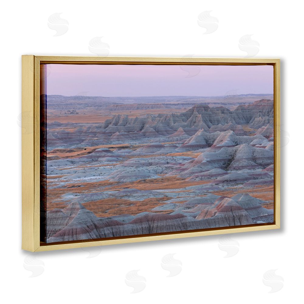 Lori Deiter Badlands Kaleidoscope Rocky Landscape Gold Floating Frame Canvas Wall Art Print