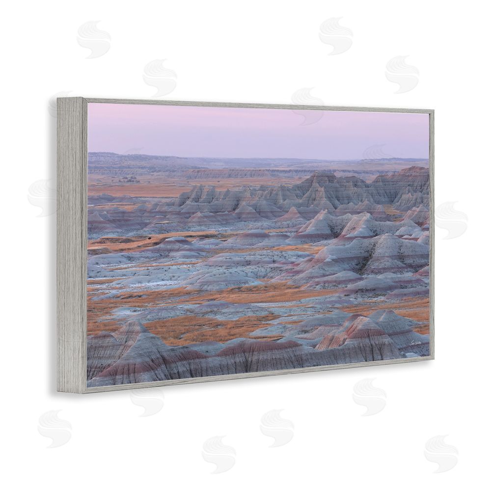 Lori Deiter Badlands Kaleidoscope Rocky Landscape Gray Framed Giclee Wall Art Print