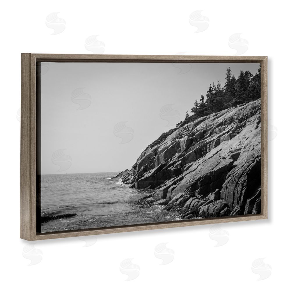 James Rodewald Steep Ocean Cliff Side Brown Floating Frame Canvas Wall Art Print