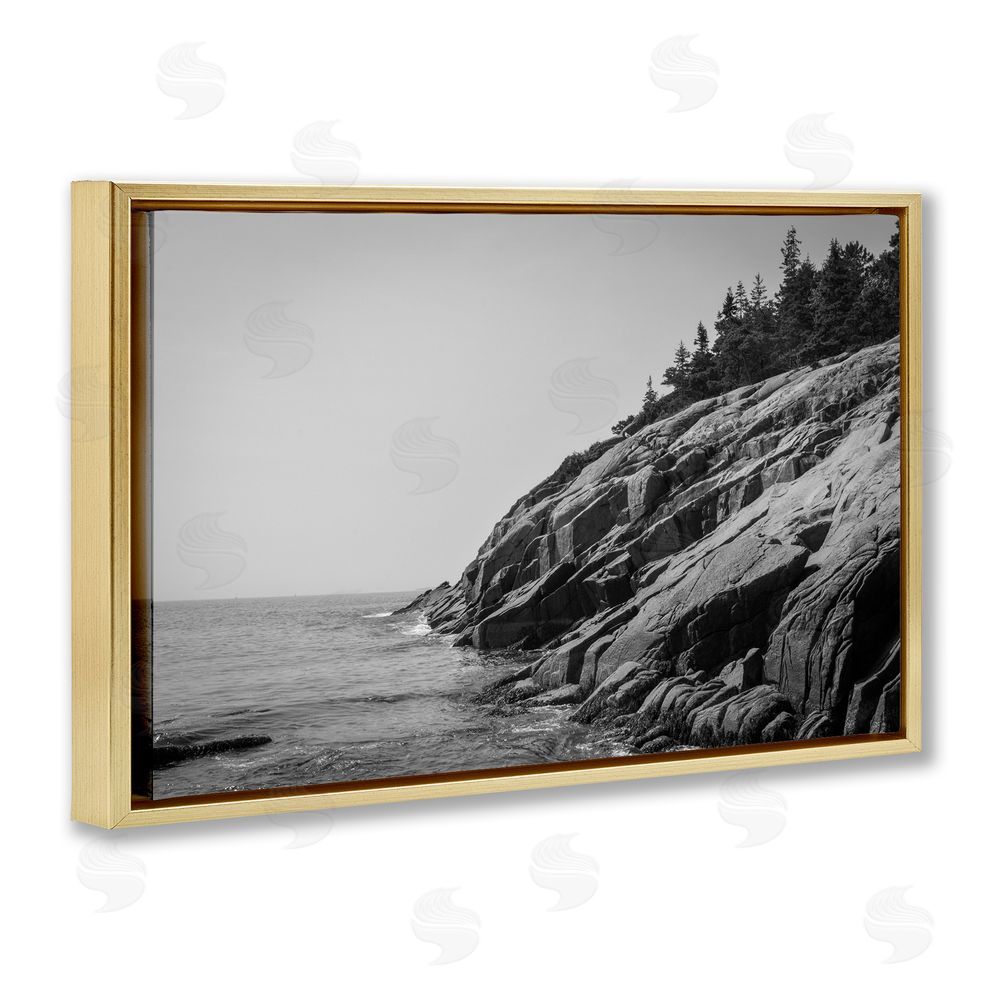 James Rodewald Steep Ocean Cliff Side Gold Floating Frame Canvas Wall Art Print