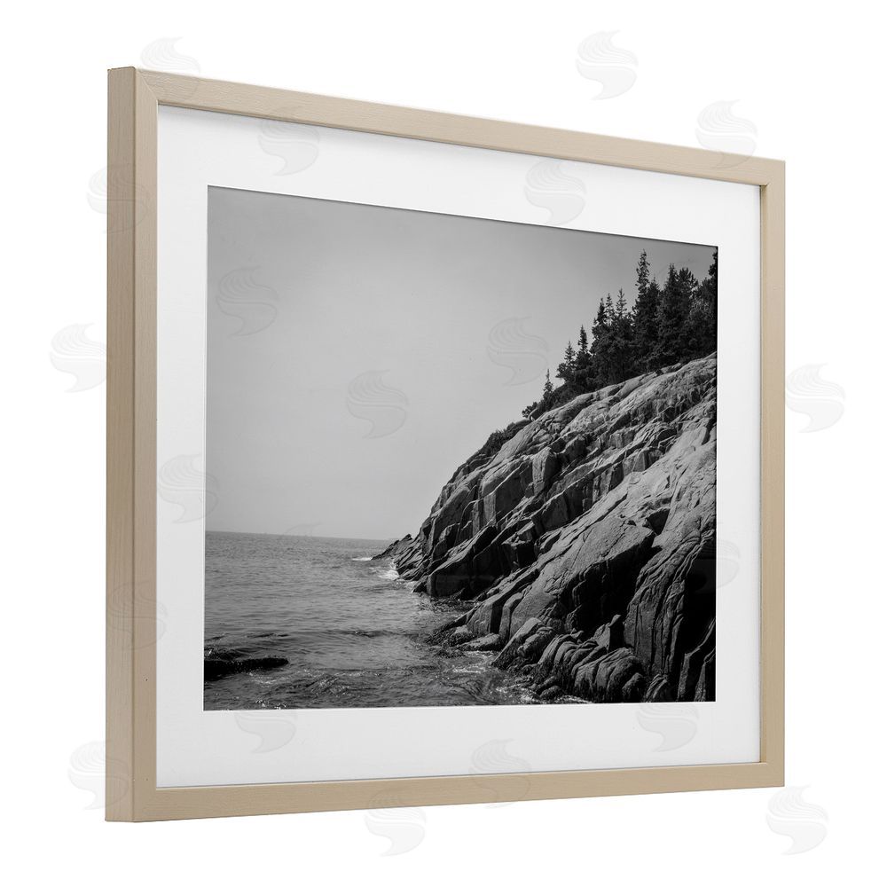James Rodewald Steep Ocean Cliff Side Birch Framed Print Under Glass with White Mat Wall Art