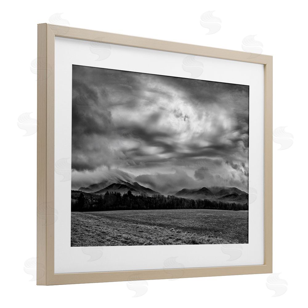 James Rodewald Distant Cloudy Skies View Birch Framed Print Under Glass with White Mat Wall Art