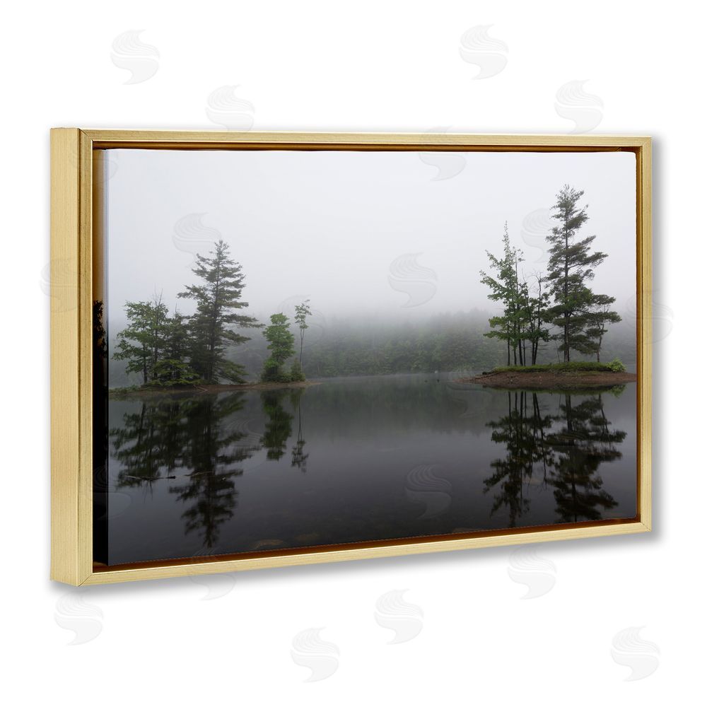 James Rodewald Adirondack Lake Reflections Gold Floating Frame Canvas Wall Art Print