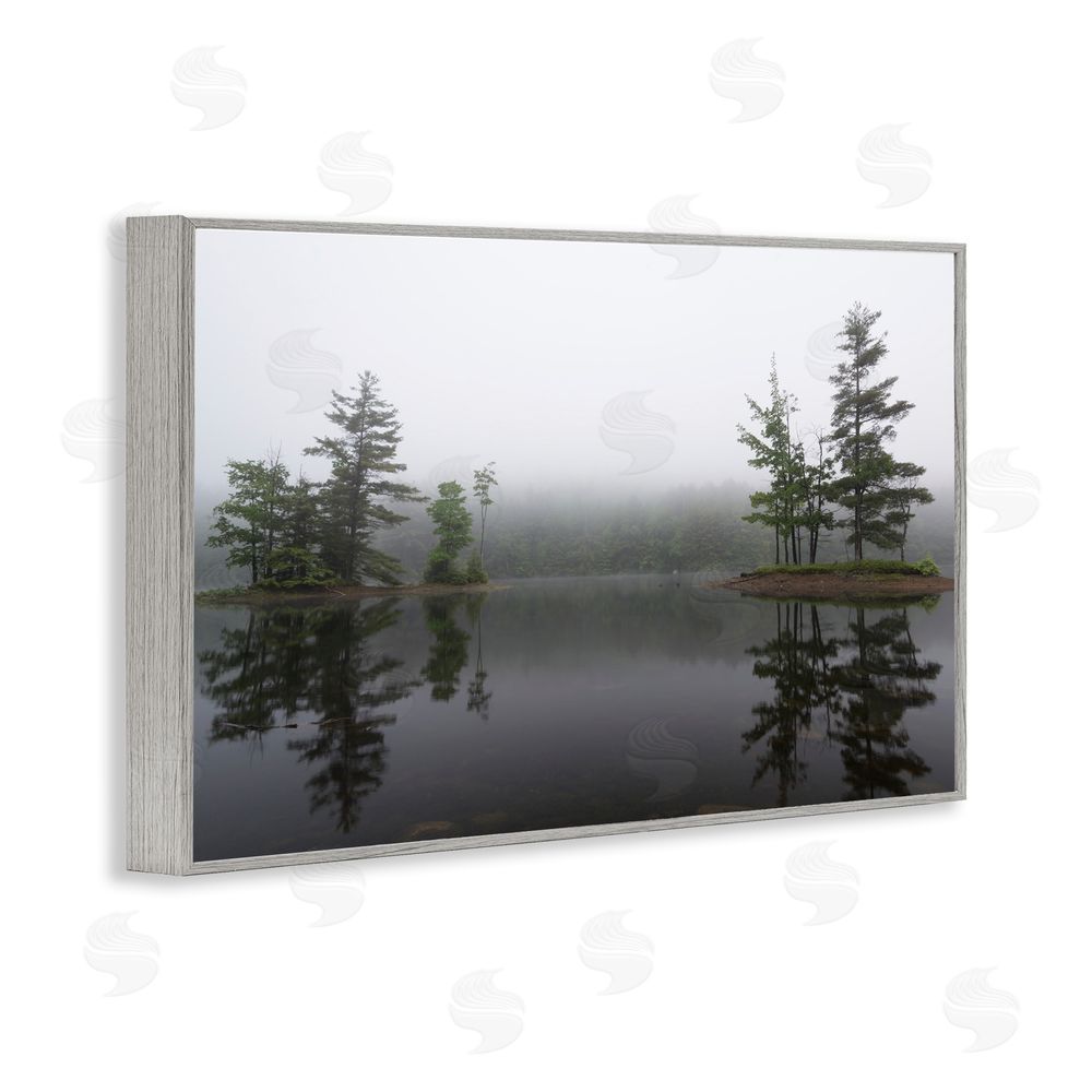 James Rodewald Adirondack Lake Reflections Gray Framed Giclee Wall Art Print