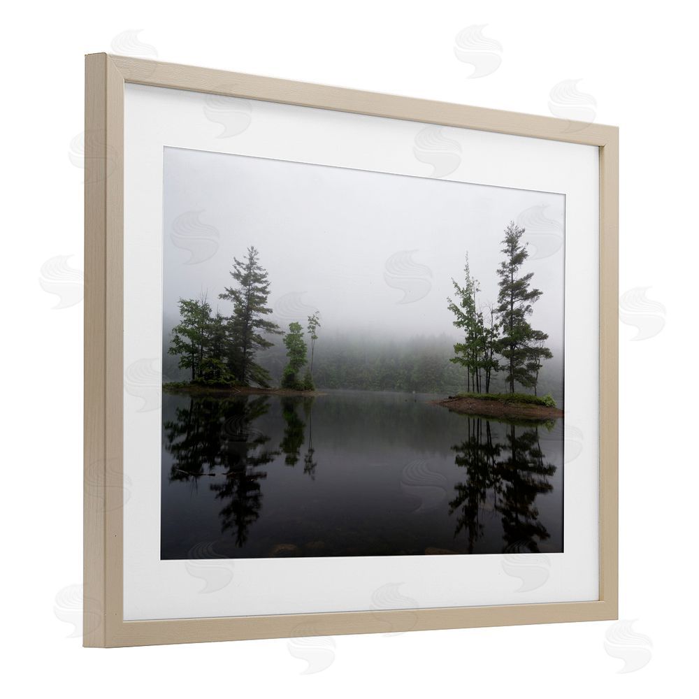James Rodewald Adirondack Lake Reflections Birch Framed Print Under Glass with White Mat Wall Art
