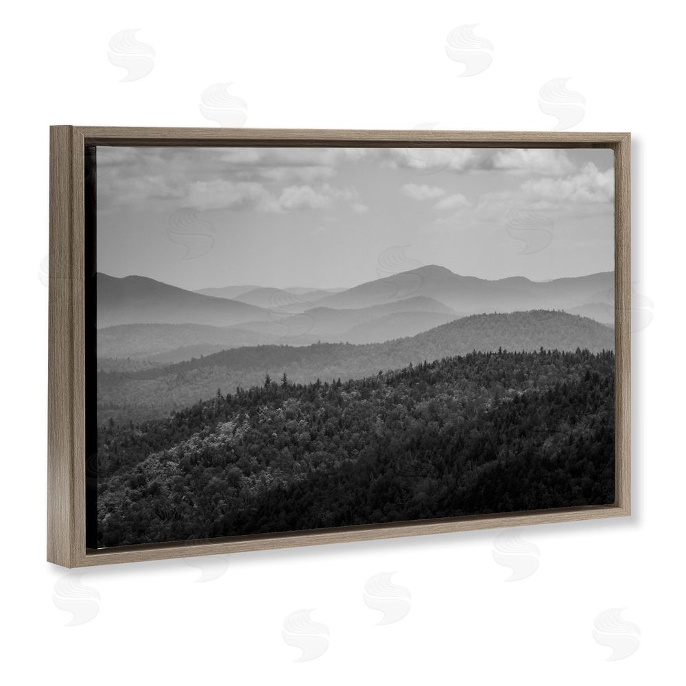 James Rodewald Misty Adirondack Mountains Brown Floating Frame Canvas Wall Art Print