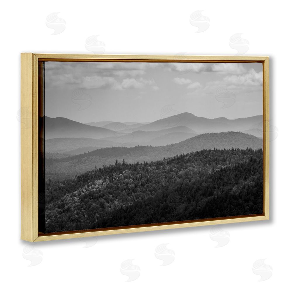 James Rodewald Misty Adirondack Mountains Gold Floating Frame Canvas Wall Art Print