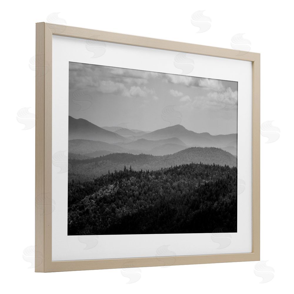 James Rodewald Misty Adirondack Mountains Birch Framed Print Under Glass with White Mat Wall Art