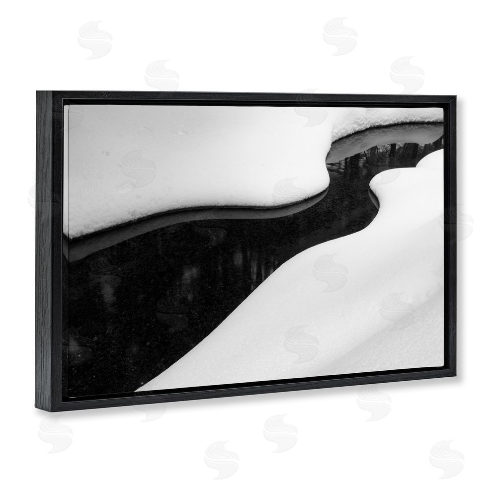 James Rodewald Yin & Yang Stream Black Floating Frame Canvas Wall Art Print