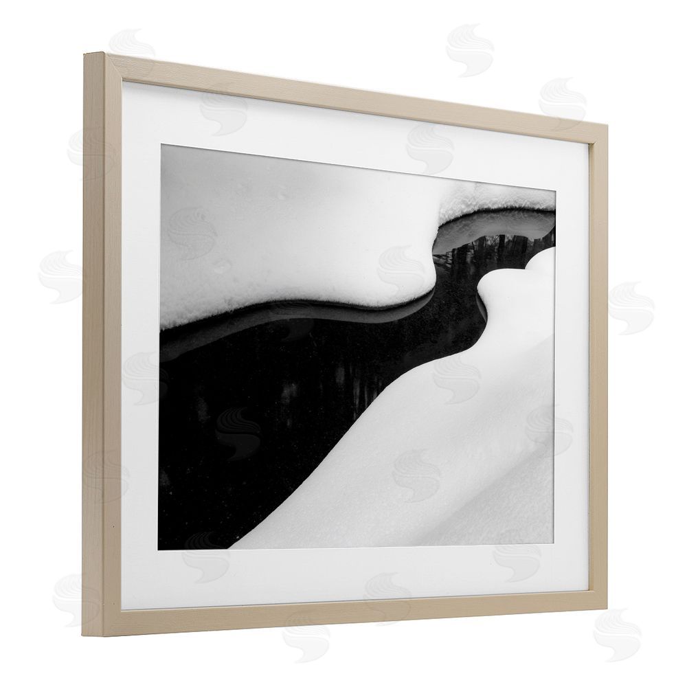 James Rodewald Yin & Yang Stream Birch Framed Print Under Glass with White Mat Wall Art