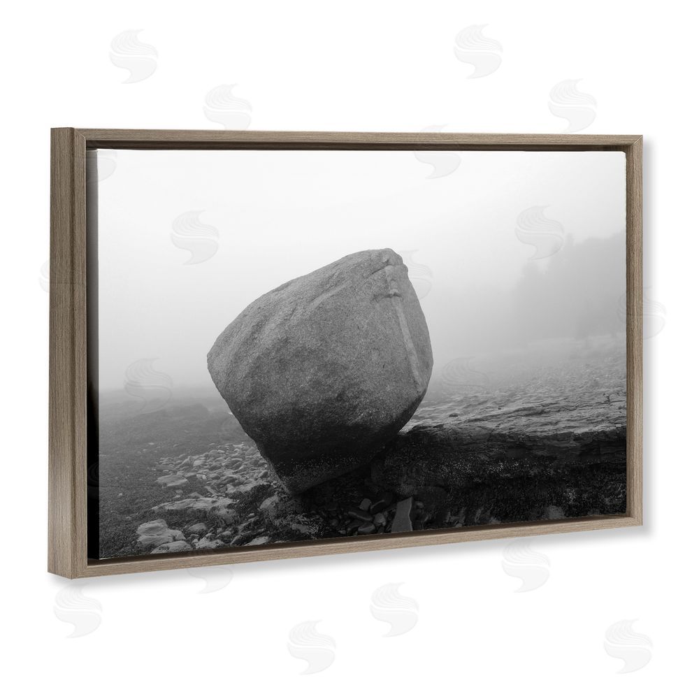 James Rodewald Lone Isolated Rock Brown Floating Frame Canvas Wall Art Print