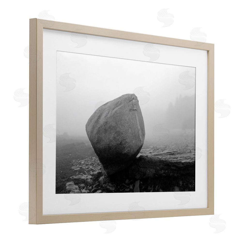 James Rodewald Lone Isolated Rock Birch Framed Print Under Glass with White Mat Wall Art