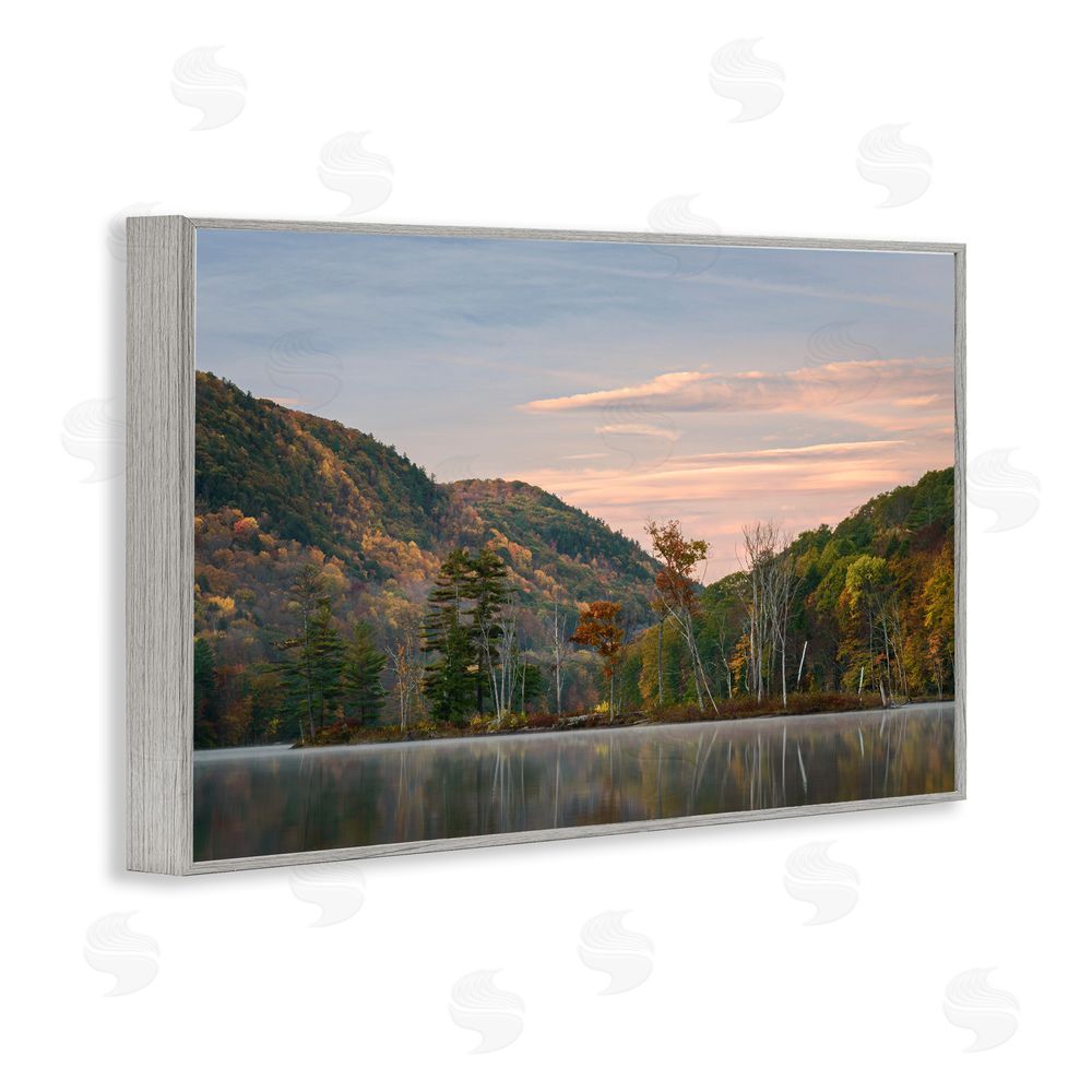 James Rodewald Nature's Change Reflection Gray Framed Giclee Wall Art Print