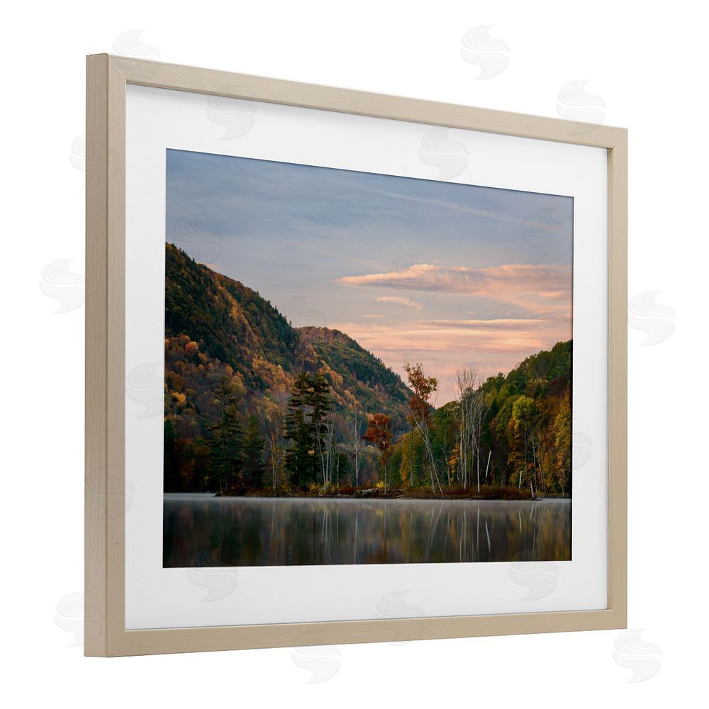 James Rodewald Nature's Change Reflection Birch Framed Print Under Glass with White Mat Wall Art