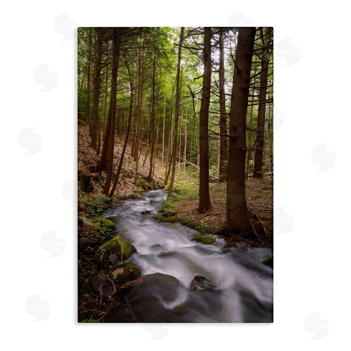 James Rodewald Mist In The Adirondacks Canvas Wall Art Print