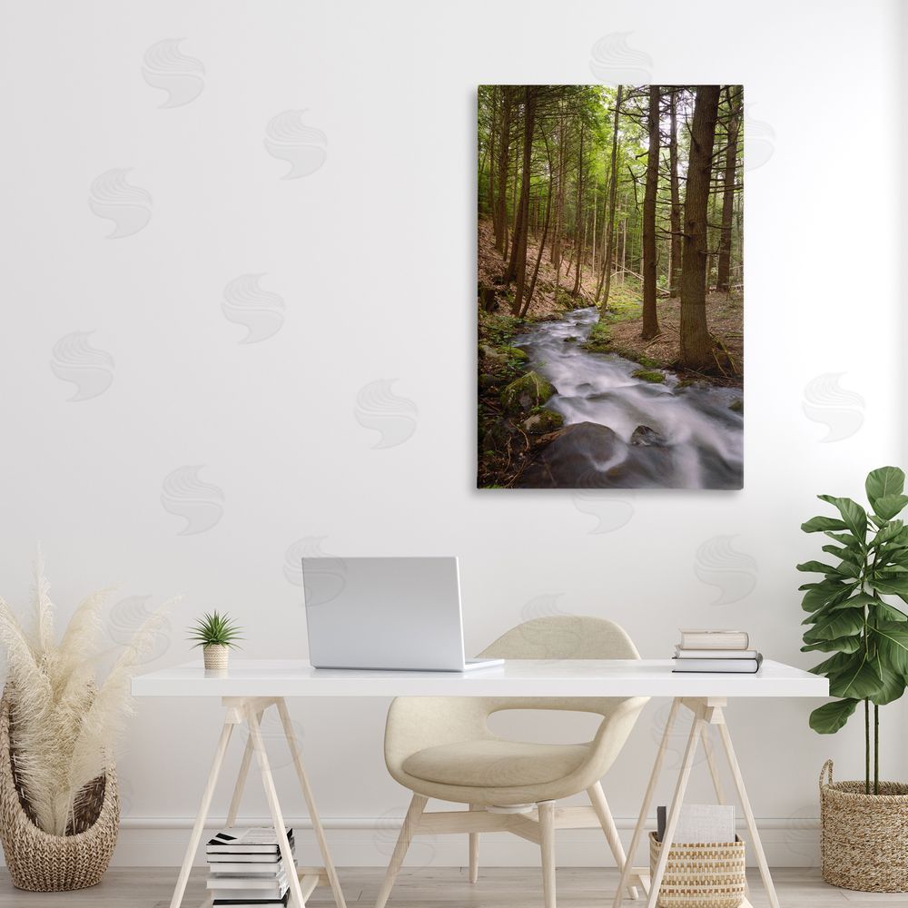 James Rodewald Mist In The Adirondacks Canvas Art on Wall